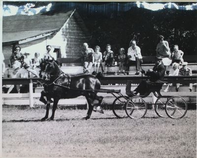 Kiwanis Horse Show, St. Catharines