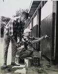 Painting the stables at Kiwanis Horse Show, St. Catharines