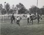 Kiwanis Horse Show, St. Catharines