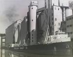 Cargo ship "James Watt" at the dry dock, Buffalo, NY
