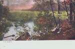 Postcard of the Marsh, Dundas