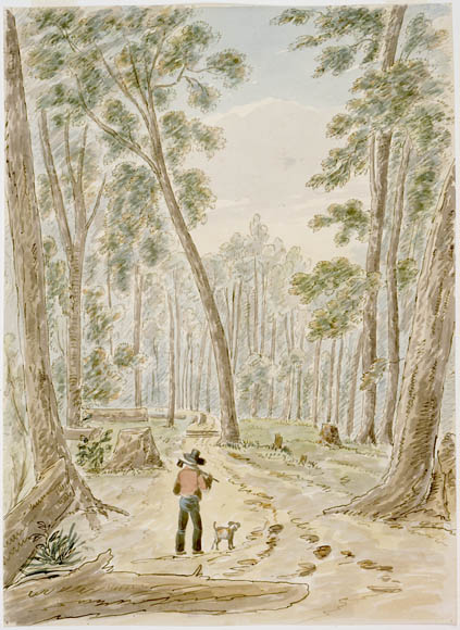 Forest Near Old Sly's, Rideau, Smiths Falls by James Pattison Cockburn (1779-1847), ca.1830