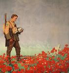 Heroes of Imperishable Fame: World War I Memorials