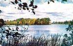 Up the Rideau River, Smiths Falls, Ontario postcard