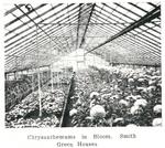 Smith Greenhouses, Who's Who, Smiths Falls, 1924