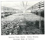 Smith Greenhouses, Who's Who, Smiths Falls, 1924