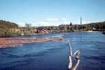 Billots flottant sur la rivière Sturgeon / Floating logs on the Sturgeon River