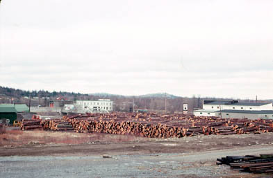 Billots de la scierie Field Lumber empilés près du magasin Co-op / Field Lumber logs were piled high next to the Co-op store