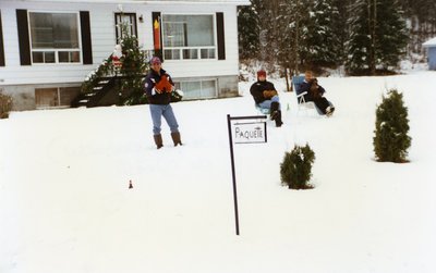 Spectacteurs à la parade du Père Noël, Field / Waiting for Santa Claus, Field