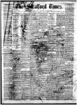 Stratford Times, 13 Jun 1877