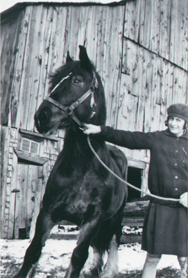 Alma with horse