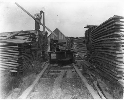 Maeck's Mill, Deer Lake, circa 1900