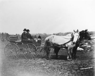 Two Men in a Buggy