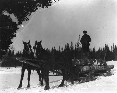 Logging Sleigh in the Woods, circa 1890