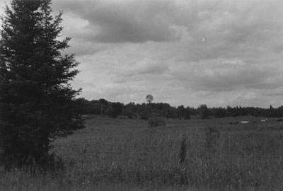 Windmill beside Detta Farm, Magnetawan.