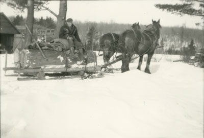 Henry Erven, with horse-drawn sleigh, circa 1940