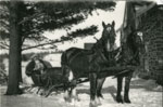 Woman and child in horse-drawn sleigh, circa 1935