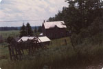 Dan Schneider Jr.'s farm, Rear View, circa 1980