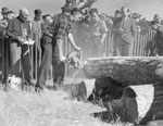 Man in Chainsaw Competition, South River Agricultural Society Fall Fair, circa 1960