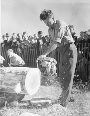 Man Almost Finished Chainsawing a Log,  South River Agricultural Society Fall Fair, circa 1950
