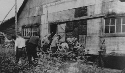 Shortland Building 's Rear, circa 1949