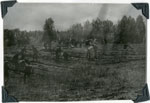 South River Children Planting More Trees, May 20th, 1964
