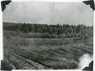 Agreement Forest, Machar Township, May 20th, 1964