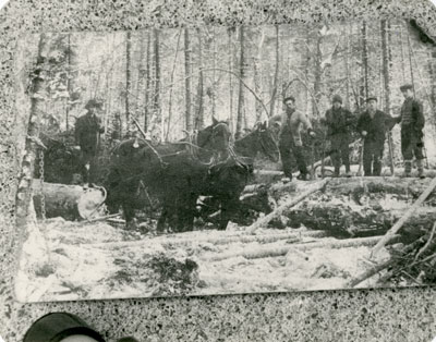 Postcard of Logging Near South River at the Turn of the Century