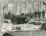 Postcard of Logging Near South River at the Turn of the Century
