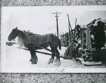 Logging at the Turn of the Century Near South River from a Postcard