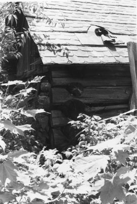 Side View of Log Home, South River Area