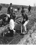 Julie Morris and Brian McNeil Planting Trees, Machar Township Agreement Forest, May 20, 1964, Photograph #2