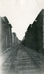 Number Two Lumber Siding at Standard Chemical Company Lumber Yard, South River, 1931