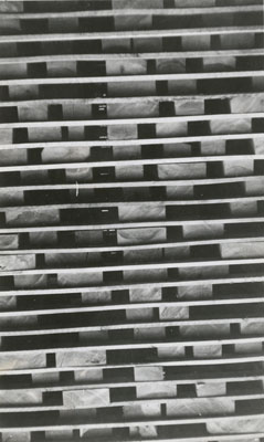 Three Inch Birch Lumber Stacked at the Standard Chemical Company's South River Lumber Yard
