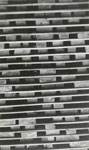 Three Inch Birch Lumber Stacked at the Standard Chemical Company's South River Lumber Yard