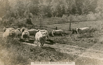 Postcard of Road Scene South River, circa 1920