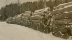 Standard Chemical Company Lumber Camp, 1939