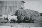 Wilmer Bow on a Hay Wagon, circa 1945