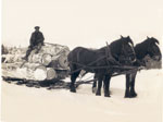 Teamster Sitting on Logs Being Pulled by Horses