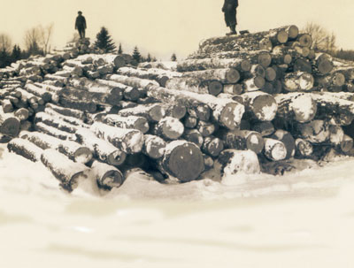 Two Men at Dahms' Saw Mill Log Dump, circa 1920