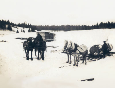 Dahms' Mill Yard, Two Teams with Their Teamsters, circa 1920