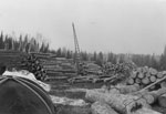 Seibers Lumber Mill, 1942