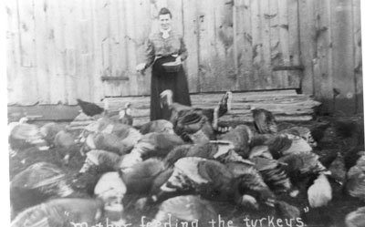 Alice Caldwell Feeding large Group of Turkeys, circa 1900