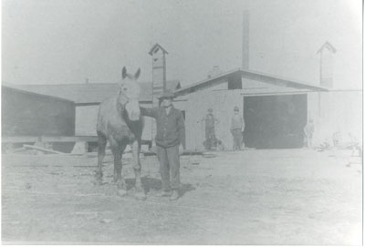 Mac Christie with horse at the Wood Sales, Sundridge, circa 1910