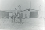 Mac Christie with horse at the Wood Sales, Sundridge, circa 1910