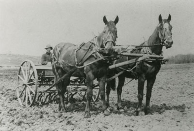 Field being Plowed on the Cottrell's Farm, circa 1920