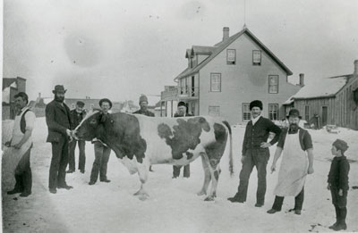 Cow in the Middle of a Snow-Covered Street, Sundridge, circa 1915