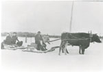 J. P. Johnstone with his Wife and Daughter on an Ox Drawn Sled, circa 1915