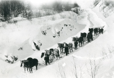 Horse Team and Log Puller on Walker's Lake