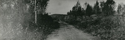 Walker's Lake Road